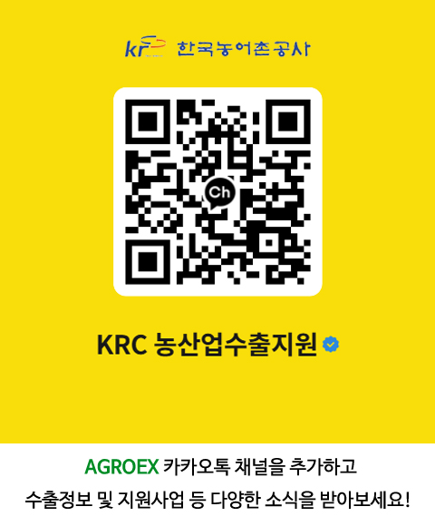 팝업